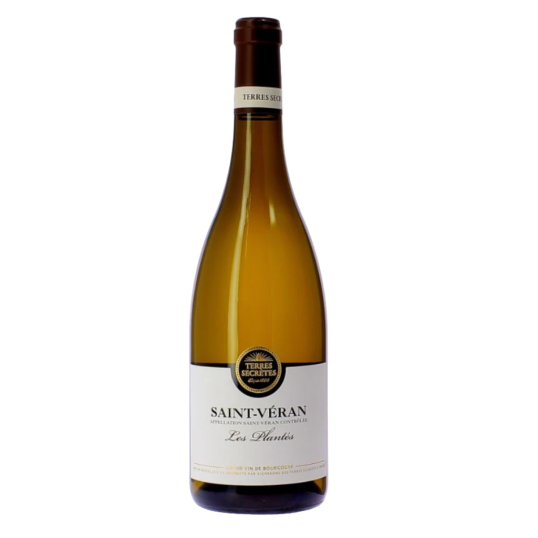 VINHO FRANÇA BRANCO TERRES SECRETES SAINT VERAN LES PLANTES 2022 750ML-0