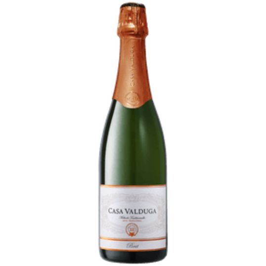 ESPUMANTE BRASIL BRANCO CASA VALDUGA ARTE BRUT 750ML-0