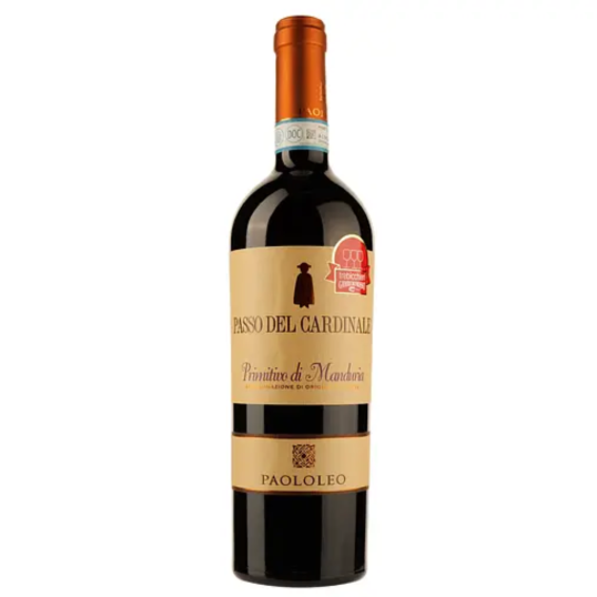VINHO ITALIA TINTO PAOLOLEO PASSO CARDINALE DI MANDURIA 2022 750ML-0
