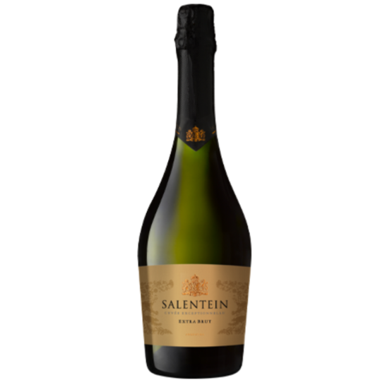 ESPUMANTE ARGENTINA BRANCO SALENTEIN EXTRA BRUT 750ML-0
