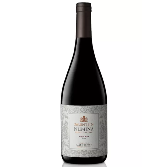 VINHO ARGENTINA TINTO SALENTEIN NUMINA PINOT NOIR 750ML-0