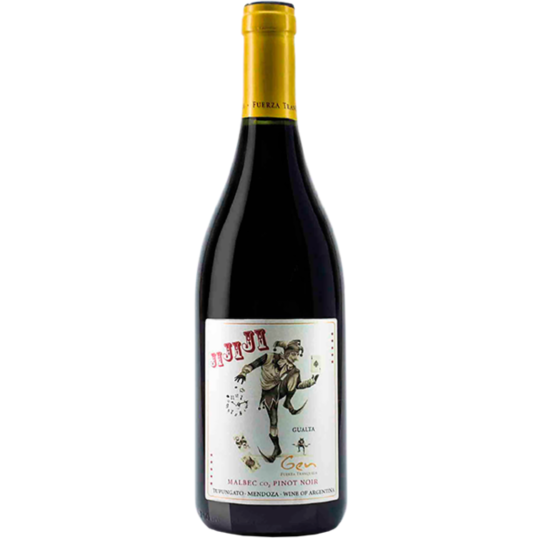 VINHO ARGENTINA TINTO GEN DEL ALMA JIJIJI MALBEC PINOT NOIR 2023 750ML-0