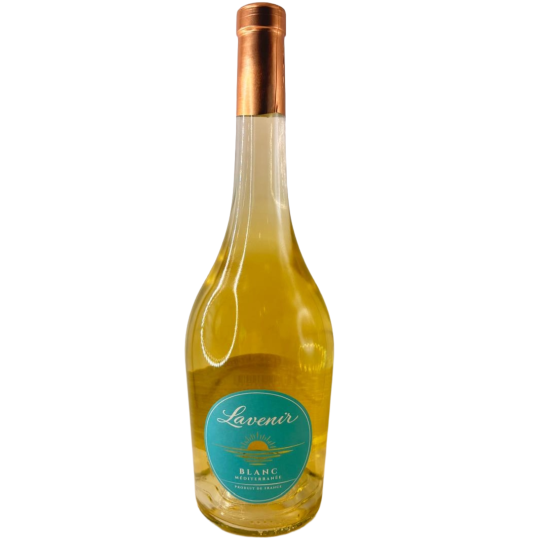 VINHO FRAN&Ccedil;A BRANCO LAVENIR MEDITERRANEE 2024 750ML-0
