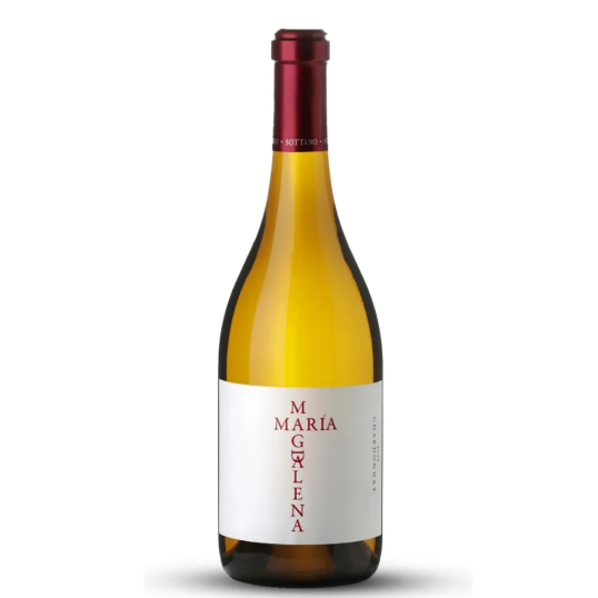 VINHO ARGENTINA BRANCO MARIA MAGDALENA CHARDONNAY 750ML-0