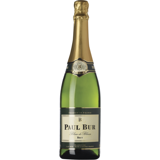 ESPUMANTE FRANÇA BRANCO PAUL BUR BRUT 750ML-0