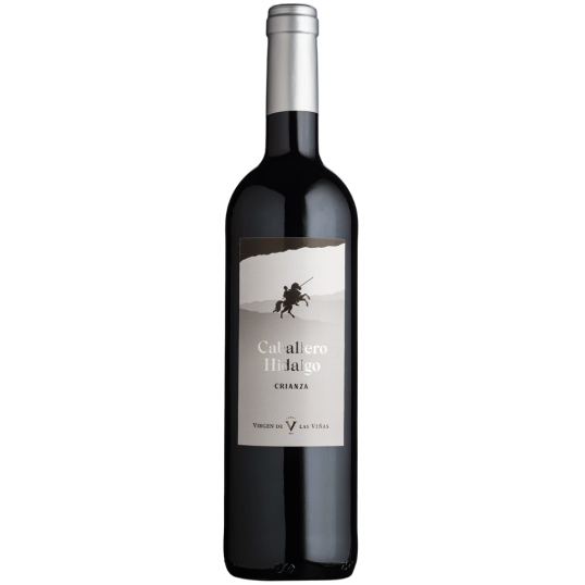 VINHO ESPANHA TINTO CABALLERO HIDALGO CRIANZA 750ML-0