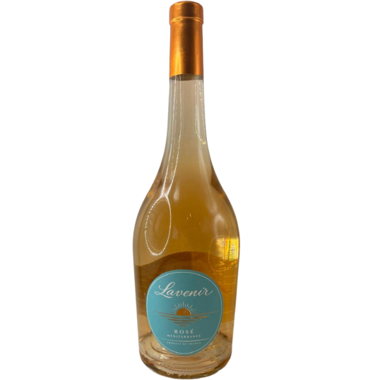 VINHO FRAN&Ccedil;A ROSE LAVENIR MEDITERRANEE 2024 750ML-0